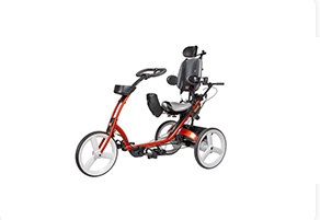 Adaptive Tricycles